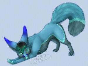 Rating: Safe Score: 0 Tags: 4:3 ambiguous_gender aozora_(aozoranj) big_ears black_hair blue_body blue_fur canid canine claws e621 fennec_fox feral fox fur green_eyes green_hair grey_body grey_fur hair hashire long_tail mammal pawpads paws solo stretching tail tongue true_fox User: bunchy7s Rating: Safe Score: 0 Tags: 4:3 ambiguous_gender aozora_(aozoranj) big_ears black_hair blue_body blue_fur canid canine claws e621 fennec_fox feral fox fur green_eyes green_hair grey_body grey_fur hair hashire long_tail mammal pawpads paws solo stretching tail tongue true_fox User: bunchy7s