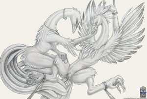 Rating: Explicit Score: 0 Tags: 2010 anatid anseriform anserine arms_above_head avian avian_feet bdsm bird bondage bound dildo duo e621 feathered_wings feathers female genitals greyscale jewelry monochrome necklace penetration sex_toy simple_background sketch spread_legs spreading swan ultraviolet vaginal vibrator vulva white_background wings User: bunchy7s Rating: Explicit Score: 0 Tags: 2010 anatid anseriform anserine arms_above_head avian avian_feet bdsm bird bondage bound dildo duo e621 feathered_wings feathers female genitals greyscale jewelry monochrome necklace penetration sex_toy simple_background sketch spread_legs spreading swan ultraviolet vaginal vibrator vulva white_background wings User: bunchy7s