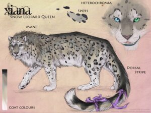 Rating: Safe Score: 0 Tags: e621 elementalspirits english_text felid female feral fluffy heterochromia hi_res leopard_spots long_tail looking_at_viewer mammal mane model_sheet pantherine pawpads paws ribbons side_view smile snow_leopard solo spots tail teeth text url whiskers xiana User: bunchy7s Rating: Safe Score: 0 Tags: e621 elementalspirits english_text felid female feral fluffy heterochromia hi_res leopard_spots long_tail looking_at_viewer mammal mane model_sheet pantherine pawpads paws ribbons side_view smile snow_leopard solo spots tail teeth text url whiskers xiana User: bunchy7s