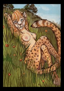 Rating: Explicit Score: 0 Tags: anthro breasts cheetah e621 felid feline female genitals looking_at_viewer mammal nipples nude pinup pose seskata solo tail vulva User: bunchy7s Rating: Explicit Score: 0 Tags: anthro breasts cheetah e621 felid feline female genitals looking_at_viewer mammal nipples nude pinup pose seskata solo tail vulva User: bunchy7s