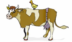 Rating: Safe Score: 0 Tags: avian beak bird bovid bovine bovine_teats bovine_udders bra cattle chicken clothed clothed_feral clothing duo e621 female feral galliform hooves lingerie lingerie_on_feral mammal phasianid simple_background tail teat_bra teats udders underwear unknown_artist what white_background User: bunchy7s