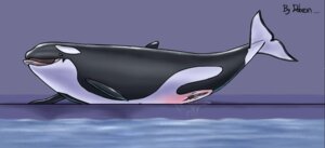 Rating: Explicit Score: 0 Tags: animal_genitalia animal_vulva aquatic bodily_fluids cetacean cetacean_genitalia cetacean_vulva dolorcin dolphin e621 female feral genital_fluids genitals mammal oceanic_dolphin open_mouth orca solo tongue tongue_out toothed_whale vaginal_fluids vulva water User: bunchy7s