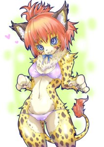 Rating: Questionable Score: 0 Tags: abstract_background anthro bakugatou bikini blue_eyes blush breasts camel_toe cleavage clothed clothing e621 felid female hair heart_symbol jaguar looking_at_viewer mammal markings orange_hair pantherine ribbons simple_background skimpy solo spots swimwear tail tirol two-piece_swimsuit User: bunchy7s