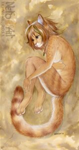 Rating: Questionable Score: 0 Tags: 2011 5_fingers anthro biped braided_hair breasts brown_hair claws digitigrade domestic_cat e621 feet felid feline felis female fingers fur hair hand_on_leg humanoid_hands inner_ear_fluff lying mammal nekoart nude on_side short_hair shy side_boob solo spots tail tan_body tan_fur traditional_media_(artwork) tuft whiskers User: bunchy7s