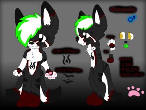 Rating: Safe Score: 0 Tags: 4:3 anthro bioluminescence black_body black_fur canid canine canis character_name countershading digitigrade dipstick_ears dipstick_tail e621 ear_markings english_text fingerless_(marking) fur gender_symbol glowing gradient_background green_highlights grey_body grey_fur hair highlights_(coloring) male male_symbol mammal markings model_sheet multicolored_ears musado red_body red_fur simple_background solo standing symbol tail tail_markings text white_body white_fur white_hair wolf xxbaybayxx User: bunchy7s
