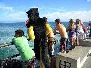 Rating: Safe Score: 0 Tags: 4:3 anthro canid canine canis clothing costume dogbomb domestic_dog e621 female fursuit german_shepherd grandfathered_content group herding_dog human male mammal pastoral_dog photography_(artwork) real sea swimwear tail tattoo water User: bunchy7s