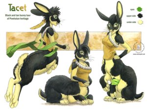 Rating: Safe Score: 0 Tags: 2009 bandage e621 ears_back ears_up english_text feathers female jumping kacey lagomorph leporid mammal model_sheet pivoted_ears rabbit ribbons short_tail side_view sitting solo tail taur text whiskers User: bunchy7s Rating: Safe Score: 0 Tags: 2009 bandage e621 ears_back ears_up english_text feathers female jumping kacey lagomorph leporid mammal model_sheet pivoted_ears rabbit ribbons short_tail side_view sitting solo tail taur text whiskers User: bunchy7s