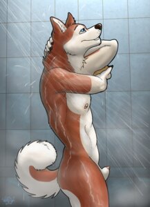 Rating: Explicit Score: 0 Tags: 2012 animal_genitalia anthro athletic athletic_anthro athletic_male bask canid canine canis casual_nudity domestic_dog e621 genitals husky male mammal nordic_sled_dog nude penis penis_tip sheath shower solo spitz tail User: bunchy7s Rating: Explicit Score: 0 Tags: 2012 animal_genitalia anthro athletic athletic_anthro athletic_male bask canid canine canis casual_nudity domestic_dog e621 genitals husky male mammal nordic_sled_dog nude penis penis_tip sheath shower solo spitz tail User: bunchy7s