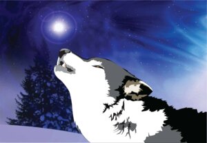 Rating: Safe Score: 0 Tags: ambiguous_gender canid canine canis cool_colors e621 feral hazdak howl mammal night outside sky snow solo star starry_sky winter wolf User: bunchy7s