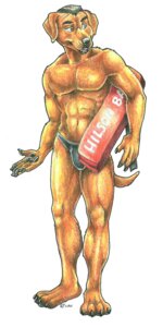 Rating: Safe Score: 0 Tags: 1:2 2010 4_toes 5_fingers abs anthro barefoot biped black_hair black_nose brown_body brown_eyes brown_fur canid canine canis claws clothed clothing cockiestspaniel domestic_dog e621 feet fingers front_view fur hair holding_object looking_aside male mammal muscular muscular_anthro muscular_male short_hair simple_background skimpy smile smirk solo speedo standing swimwear tail toes topless white_background User: bunchy7s Rating: Safe Score: 0 Tags: 1:2 2010 4_toes 5_fingers abs anthro barefoot biped black_hair black_nose brown_body brown_eyes brown_fur canid canine canis claws clothed clothing cockiestspaniel domestic_dog e621 feet fingers front_view fur hair holding_object looking_aside male mammal muscular muscular_anthro muscular_male short_hair simple_background skimpy smile smirk solo speedo standing swimwear tail toes topless white_background User: bunchy7s