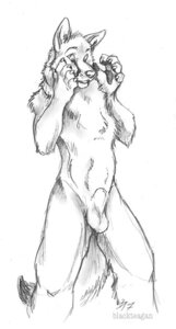 Rating: Explicit Score: 0 Tags: after_transformation animal_genitalia anthro balls black_markings blackteagan canid canine canis cheetah dipstick_tail e621 facial_markings felid feline fully_sheathed genitals greyscale head_markings hybrid male mammal markings monochrome multicolored_tail nude sheath sketch solo tail tail_markings wolf User: bunchy7s