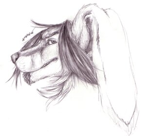 Rating: Safe Score: 0 Tags: anthro black_and_white canid canine canis e621 facial_hair farorenightclaw goatee hybrid lagomorph leporid low_res male mammal monochrome rabbit simple_background solo white_background wolf User: bunchy7s