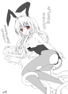 Rating: Explicit Score: 0 Tags: animal_ear blush breasts bunny_ear bunnysuit clothing female konjiki_no_yami looking_back monochrome pantyhose pointy_chin rule34 small_breasts tentacle to_love-ru tomusooya torn_clothes torn_pantyhose translation_request User: bunchy7s Rating: Explicit Score: 0 Tags: animal_ear blush breasts bunny_ear bunnysuit clothing female konjiki_no_yami looking_back monochrome pantyhose pointy_chin rule34 small_breasts tentacle to_love-ru tomusooya torn_clothes torn_pantyhose translation_request User: bunchy7s