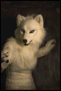Rating: Safe Score: 0 Tags: anthro black_border blue_eyes border canid canine canis clothing costume e621 female fur fursuit grandfathered_content half-length_portrait mammal photography_(artwork) portrait qarrezel real solo white_body white_fur wolf User: bunchy7s Rating: Safe Score: 0 Tags: anthro black_border blue_eyes border canid canine canis clothing costume e621 female fur fursuit grandfathered_content half-length_portrait mammal photography_(artwork) portrait qarrezel real solo white_body white_fur wolf User: bunchy7s