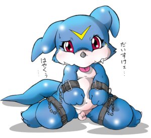 Rating: Explicit Score: 0 Tags: bandai_namco bdsm blue_body blue_skin bondage bound chibineco dialogue digimon digimon_(species) e621 flaccid foreskin fully_bound genitals japanese_text male nude penis red_eyes slightly_chubby solo submissive submissive_male tail teeth text tongue translated veemon User: bunchy7s Rating: Explicit Score: 0 Tags: bandai_namco bdsm blue_body blue_skin bondage bound chibineco dialogue digimon digimon_(species) e621 flaccid foreskin fully_bound genitals japanese_text male nude penis red_eyes slightly_chubby solo submissive submissive_male tail teeth text tongue translated veemon User: bunchy7s