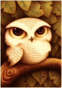 Rating: Safe Score: 0 Tags: ambiguous_gender avian beak big_eyes big_head bird detailed_background e621 faboarts feathered_wings feathers feral leaf looking_at_viewer markings owl solo traditional_media_(artwork) white_body wings User: bunchy7s Rating: Safe Score: 0 Tags: ambiguous_gender avian beak big_eyes big_head bird detailed_background e621 faboarts feathered_wings feathers feral leaf looking_at_viewer markings owl solo traditional_media_(artwork) white_body wings User: bunchy7s