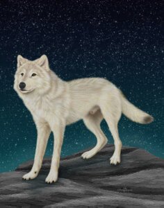 Rating: Explicit Score: 0 Tags: amber_eyes anatomically_correct animal_genitalia animal_penis balls black_body black_claws black_fur black_nose black_tail_tip canid canine canis claws detailed_background digitigrade dipstick_tail e621 ebon_lupus feral fluffy fluffy_tail full-length_portrait fur genitals hi_res male mammal markings night outside paws penis penis_tip photorealism portrait quadruped realistic rock sheath sky solo star starry_sky tail tail_markings three-quarter_view wolf User: bunchy7s Rating: Explicit Score: 0 Tags: amber_eyes anatomically_correct animal_genitalia animal_penis balls black_body black_claws black_fur black_nose black_tail_tip canid canine canis claws detailed_background digitigrade dipstick_tail e621 ebon_lupus feral fluffy fluffy_tail full-length_portrait fur genitals hi_res male mammal markings night outside paws penis penis_tip photorealism portrait quadruped realistic rock sheath sky solo star starry_sky tail tail_markings three-quarter_view wolf User: bunchy7s