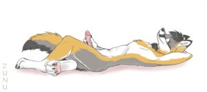Rating: Explicit Score: 0 Tags: 2011 4_toes anthro biped black_hair canid canine claws crossed_legs dipstick_ears e621 ear_markings erection feet fox fur genitals grey_body grey_fox grey_fur hair hand_behind_head holding_penis humanoid_genitalia humanoid_penis looking_aside looking_at_viewer lying male mammal markings multicolored_ears nude on_back orange_body orange_fur penis repofox short_hair side_view simple_background smile solo tail tail_between_legs toes urocyon white_background white_body white_fur zunu-raptor User: bunchy7s