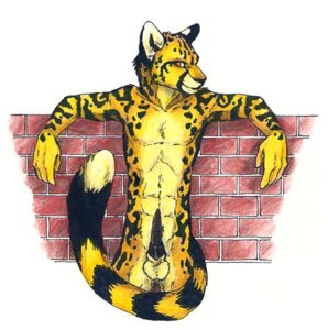 Rating: Explicit Score: 0 Tags: animal_genitalia animal_penis anthro balls black_penis cheetah demitri_cheetah e621 erection felid feline feline_genitalia feline_penis fur genitals male mammal nude penis sheath solo speed_(artist) tail tapering_penis yellow_balls yellow_body yellow_fur yellow_sheath User: bunchy7s