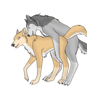 Rating: Explicit Score: 0 Tags: 1:1 airisu all_fours alpha_and_omega blue_eyes canid canine canis crest_animation_studios doggystyle duo e621 female feral feral_on_feral from_behind_position hi_res humphrey_(alpha_and_omega) kate_(alpha_and_omega) male male/female mammal open_mouth raised_tail sex simple_background tail white_background wolf yellow_eyes User: bunchy7s Rating: Explicit Score: 0 Tags: 1:1 airisu all_fours alpha_and_omega blue_eyes canid canine canis crest_animation_studios doggystyle duo e621 female feral feral_on_feral from_behind_position hi_res humphrey_(alpha_and_omega) kate_(alpha_and_omega) male male/female mammal open_mouth raised_tail sex simple_background tail white_background wolf yellow_eyes User: bunchy7s