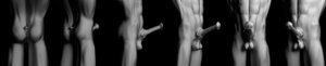 Rating: Explicit Score: 0 Tags: 2014 3d_(artwork) absurd_res digital_media_(artwork) e621 equid equine erection genitals hi_res horse long_image male mammal merriadoc monochrome penis solo wide_image User: bunchy7s