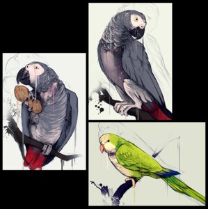 Rating: Safe Score: 0 Tags: african_grey afrotropical_parrot ambiguous_gender avian beak biped bipedal_feral bird black_eyes cere_(anatomy) claws digital_media_(artwork) digital_painting_(artwork) dripping e621 feathered_wings feathers feral food fruit green_body green_feathers grey_body grey_feathers group legume monk_parakeet neotropical_parrot no_swift nut_(fruit) painting_(artwork) parakeet parrot peanut_(food) plant red_body red_feathers sketch tree true_parrot twig white_body white_feathers wings yellow_eyes zoom_layer User: bunchy7s Rating: Safe Score: 0 Tags: african_grey afrotropical_parrot ambiguous_gender avian beak biped bipedal_feral bird black_eyes cere_(anatomy) claws digital_media_(artwork) digital_painting_(artwork) dripping e621 feathered_wings feathers feral food fruit green_body green_feathers grey_body grey_feathers group legume monk_parakeet neotropical_parrot no_swift nut_(fruit) painting_(artwork) parakeet parrot peanut_(food) plant red_body red_feathers sketch tree true_parrot twig white_body white_feathers wings yellow_eyes zoom_layer User: bunchy7s