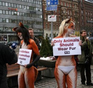 Rating: Questionable Score: 0 Tags: blonde_hair bodypaint camel_toe canid canine clothing duo_focus e621 english_text female finland finnish_text fox grandfathered_content group hair helsinki_(city) human mammal modern_architecture navel navel_piercing neo-classical_architecture panties peta piercing pubic_mound real text third-party_edit translated underwear unknown_artist User: bunchy7s Rating: Questionable Score: 0 Tags: blonde_hair bodypaint camel_toe canid canine clothing duo_focus e621 english_text female finland finnish_text fox grandfathered_content group hair helsinki_(city) human mammal modern_architecture navel navel_piercing neo-classical_architecture panties peta piercing pubic_mound real text third-party_edit translated underwear unknown_artist User: bunchy7s