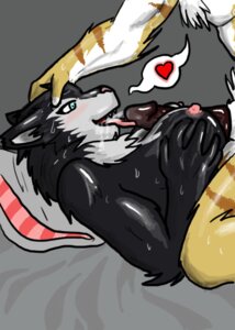 Rating: Explicit Score: 0 Tags: anthro bed big_penis black_body black_fur blue_eyes blush bodily_fluids breast_play breasts brown_body brown_fur canid canine canis cum cum_in_mouth cum_inside cumshot digital_media_(artwork) domestic_dog duo e621 ejaculation erection faceless_character faceless_male fangs fellatio female fur furniture genital_fluids genitals glans glistening happy happy_sex heart_symbol humanoid_genitalia humanoid_penis husky illu illuminatii inside licking lying male male/female mammal nipples nordic_sled_dog on_back on_bed open_mouth oral orgasm penile penis penis_lick pillow sex side_view spitz stripes sweat teeth titfuck tongue tongue_out white_body white_fur yellow_body yellow_fur User: bunchy7s
