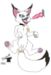 Rating: Explicit Score: 0 Tags: arctic_fox blackwolf blue_eyes canid canine collar dipstick_tail duo e621 erection fangs female female_focus feral fox genitals hi_res male male/female mammal markings nude penis simple_background solo_focus tail tail_markings teeth tongue tongue_out true_fox vulva white_background User: bunchy7s Rating: Explicit Score: 0 Tags: arctic_fox blackwolf blue_eyes canid canine collar dipstick_tail duo e621 erection fangs female female_focus feral fox genitals hi_res male male/female mammal markings nude penis simple_background solo_focus tail tail_markings teeth tongue tongue_out true_fox vulva white_background User: bunchy7s