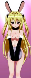 Rating: Explicit Score: 0 Tags: animal_ear artist_request blush breasts bunny_ear female gloves highres konjiki_no_yami pointy_chin rule34 small_breasts to_love-ru waitress User: bunchy7s