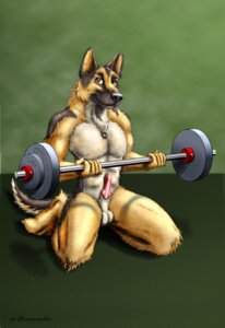 Rating: Explicit Score: 0 Tags: 2005 animal_genitalia animal_penis anthro athletic athletic_anthro athletic_male balls barbell biped canid canine canine_genitalia canine_penis canis domestic_dog e621 erection exercise firestormsix fur genitals german_shepherd herding_dog holding_object jewelry jewelry_only kneeling knot male mammal necklace necklace_only nude nude_workout pastoral_dog penis pink_penis sheath solo tail weightlifting weights white_balls white_sheath workout yellow_eyes User: bunchy7s