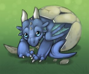 Rating: Safe Score: 0 Tags: 6:5 ambiguous_gender blue_body blue_eyes blue_skin claws conditional_dnp dragon dragonator e621 egg european_mythology feral grass horn looking_at_viewer membrane_(anatomy) membranous_wings mythological_creature mythological_scalie mythology plant scalie solo tail tojo_the_thief western_dragon wings young young_feral User: bunchy7s