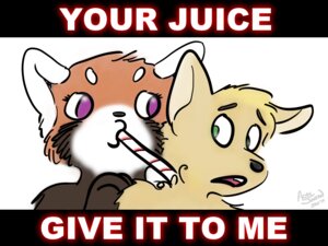 Rating: Safe Score: 0 Tags: 4:3 acru acru_jovian ailurid ambiguous_gender anthro bust_portrait canid canine creepy digital_media_(artwork) drinking drinking_straw duo e621 fur mammal portrait red_panda sucking surprised text what User: bunchy7s