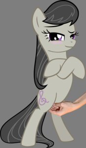Rating: Questionable Score: 0 Tags: alpha_channel duo e621 earth_pony equid equine female feral fingering friendship_is_magic hasbro horse mammal moongazeponies my_little_pony naughty_scritchie octavia_(mlp) pony simple_background solo_focus tail transparent_background User: bunchy7s Rating: Questionable Score: 0 Tags: alpha_channel duo e621 earth_pony equid equine female feral fingering friendship_is_magic hasbro horse mammal moongazeponies my_little_pony naughty_scritchie octavia_(mlp) pony simple_background solo_focus tail transparent_background User: bunchy7s