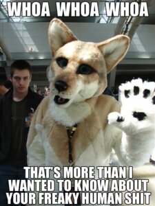 Rating: Safe Score: 0 Tags: 3:4 anthro black_nose canid canine clothed clothing convention costume duo e621 english_text fursuit grandfathered_content human humor image_macro impact_(font) inside looking_at_viewer male male_human mammal meme open_mouth photo photobomb rape_face reaction_image real text the_truth unknown_artist User: bunchy7s Rating: Safe Score: 0 Tags: 3:4 anthro black_nose canid canine clothed clothing convention costume duo e621 english_text fursuit grandfathered_content human humor image_macro impact_(font) inside looking_at_viewer male male_human mammal meme open_mouth photo photobomb rape_face reaction_image real text the_truth unknown_artist User: bunchy7s