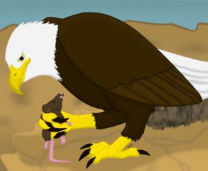 Rating: Safe Score: 0 Tags: 2011 4_toes accipitrid accipitriform ambiguous_gender anisodactyl annie_the_eagle aressa asphyxiation avian bald_eagle beak bird black_claws brown_body brown_feathers claws compression_artifacts digital_media_(artwork) duo e621 eagle feathered_wings feathers feet feral hi_res holding_character leaning leaning_forward mammal mouse multicolored_body multicolored_feathers murid murine outside paws predator/prey rodent sea_eagle signature size_difference standing tail tail_feathers talons toe_claws toes white_body white_feathers white_tail_feathers wings yellow_beak yellow_sclera User: bunchy7s Rating: Safe Score: 0 Tags: 2011 4_toes accipitrid accipitriform ambiguous_gender anisodactyl annie_the_eagle aressa asphyxiation avian bald_eagle beak bird black_claws brown_body brown_feathers claws compression_artifacts digital_media_(artwork) duo e621 eagle feathered_wings feathers feet feral hi_res holding_character leaning leaning_forward mammal mouse multicolored_body multicolored_feathers murid murine outside paws predator/prey rodent sea_eagle signature size_difference standing tail tail_feathers talons toe_claws toes white_body white_feathers white_tail_feathers wings yellow_beak yellow_sclera User: bunchy7s