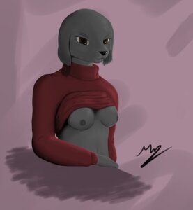 Rating: Questionable Score: 0 Tags: anthro breasts canid canine clothed clothing clothing_lift e621 female hi_res looking_at_viewer mammal nina_(renabu) nipples renabu shirt shirt_lift solo sweater topwear User: bunchy7s