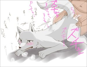 Rating: Explicit Score: 0 Tags: ambiguous_gender ambiguous_on_human anal anal_penetration bestiality black_border blush bodily_fluids border canid canine canis crying cum domestic_dog duo e621 erection feral forced genital_fluids genitals human human_on_feral interspecies japanese_text kekkaishi madarao_(kekkaishi) male male/ambiguous male_on_feral mammal nude overweight penetration penis rape reina_(artist) sex tail tears text User: bunchy7s