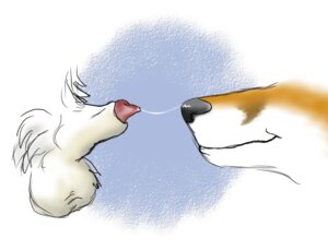 Rating: Explicit Score: 0 Tags: 2009 animal_genitalia anthro balls bodily_fluids canid canine crotch_shot cum cum_string detached_sheath digital_media_(artwork) disembodied_penis duo e621 fox genital_fluids genitals half-erect knot knot_in_sheath male male/male mammal mouth_shot nude open_mouth penis penis_tip precum sex sheath silvertail simple_background white_background User: bunchy7s