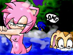 Rating: Explicit Score: 0 Tags: 2005 amy_rose anthro breasts color female fur furry furry_only gesture hedgehog interspecies male mammal multiple_females nude pointing rabbit rule34 sega small_breasts sonic_(series) sonic_the_hedgehog steam straight_hair uncensored washing water User: bunchy7s