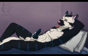 Rating: Explicit Score: 0 Tags: animal_genitalia animal_penis anthro balls bed biped canid canine canine_genitalia canine_penis e621 erection fluffy fox furniture genitals holding_penis inside knot looking_at_viewer lying male mammal masturbation nude on_back on_bed penile penile_masturbation penis pose rcfox solo tongue tongue_out wyldelyn User: bunchy7s