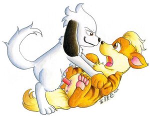 Rating: Explicit Score: 0 Tags: akamaru animal_genitalia anus brown_eyes canid canine canis china-kitty crossover domestic_dog duo e621 erection female female_penetrated feral feral_on_feral fur generation_1_pokemon genitals growlithe interspecies male male/female male_penetrating male_penetrating_female mammal naruto nintendo nude pawpads paws penetration penile penile_penetration penis penis_in_vagina pokemon pokemon_(species) sex sheath tail tongue vaginal vaginal_penetration vulva white_body white_fur User: bunchy7s
