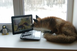 Rating: Safe Score: 0 Tags: 2009 avian being_watched bird canid canine computer crouching daww digitigrade e621 electronics female feral fox foxsvir fur grandfathered_content inside jungledyret_hugo laptop looking_at_another mammal pen penguin photo photography_(artwork) picture_in_picture plushie real red_body red_fox red_fur rita_(jungledyret) screen snow solo tail the_truth true_fox window winter User: bunchy7s Rating: Safe Score: 0 Tags: 2009 avian being_watched bird canid canine computer crouching daww digitigrade e621 electronics female feral fox foxsvir fur grandfathered_content inside jungledyret_hugo laptop looking_at_another mammal pen penguin photo photography_(artwork) picture_in_picture plushie real red_body red_fox red_fur rita_(jungledyret) screen snow solo tail the_truth true_fox window winter User: bunchy7s