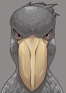Rating: Safe Score: 0 Tags: ambiguous_gender anatomy angry avian beak bird e621 feathers feral grey_background grey_body grey_feathers headshot_portrait icon looking_at_viewer pelecaniform petaroh portrait reaction_image shoebill simple_background solo stare User: bunchy7s Rating: Safe Score: 0 Tags: ambiguous_gender anatomy angry avian beak bird e621 feathers feral grey_background grey_body grey_feathers headshot_portrait icon looking_at_viewer pelecaniform petaroh portrait reaction_image shoebill simple_background solo stare User: bunchy7s