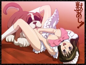 Rating: Explicit Score: 0 Tags: bottomless bow breasts breasts_out brown_hair canid canine cunnilingus dog domestic_dog empty_eyes female fushimi fushimi_yayoi human large_breasts long_hair lying maid maid_headdress male male/female male_canine natsu_no_arashi natsu_no_arashi! nipples on_back open_mouth oral purple_eyes rule34 smile spread_legs straight toyomaru zooerastia zoophilia User: bunchy7s
