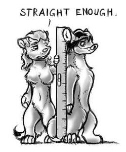 Rating: Safe Score: 0 Tags: anthro bad_posture breasts domestic_ferret duo e621 female greyscale humor low_res male mammal monochrome mustelid musteline nude otter pun ruler sketch standing tail true_musteline weasel zterry User: bunchy7s Rating: Safe Score: 0 Tags: anthro bad_posture breasts domestic_ferret duo e621 female greyscale humor low_res male mammal monochrome mustelid musteline nude otter pun ruler sketch standing tail true_musteline weasel zterry User: bunchy7s