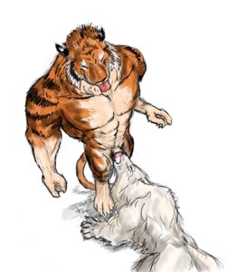 Rating: Explicit Score: 0 Tags: anthro canid canine canis closed_eyes duo e621 erection eyes eyes_closed felid feline fellatio fur furry furry_only gay genitals male male/male male_penetrated male_penetrating male_penetrating_male mammal muscles muscular no_humans oral oral_penetration oral_sex pantherine penetration penile penis rule34 rwolf sex tail tiger wolf User: bunchy7s