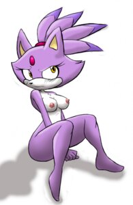 Rating: Questionable Score: 0 Tags: anthro biped blaze_the_cat blush breasts brown_eyes domestic_cat e621 featureless_feet feet felid feline felis female hair mammal nipples nude ponytail purple_body purple_hair sega simple_background sitting solo sonic_the_hedgehog_(series) unknown_artist white_background User: bunchy7s