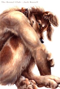 Rating: Safe Score: 0 Tags: 2006 anthro canid canine canis curled_up domestic_dog e621 feet hindpaw hunting_dog jack_russell_terrier kenket male mammal painting_(artwork) paws photorealism realistic solo terrier traditional_media_(artwork) traditional_painting_(artwork) User: bunchy7s Rating: Safe Score: 0 Tags: 2006 anthro canid canine canis curled_up domestic_dog e621 feet hindpaw hunting_dog jack_russell_terrier kenket male mammal painting_(artwork) paws photorealism realistic solo terrier traditional_media_(artwork) traditional_painting_(artwork) User: bunchy7s