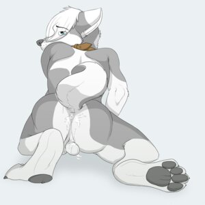 Rating: Explicit Score: 0 Tags: 1:1 after_sex anthro anus backsack balls biped bodily_fluids butt canid canine canis collar cum cum_in_ass cum_inside cum_on_butt domestic_dog e621 genital_fluids genitals hair male mammal milligram_smile solo tail tre_(milligram_smile) User: bunchy7s Rating: Explicit Score: 0 Tags: 1:1 after_sex anthro anus backsack balls biped bodily_fluids butt canid canine canis collar cum cum_in_ass cum_inside cum_on_butt domestic_dog e621 genital_fluids genitals hair male mammal milligram_smile solo tail tre_(milligram_smile) User: bunchy7s
